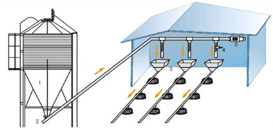 Breeder Chicken Farm House Poultry Farm Equipment