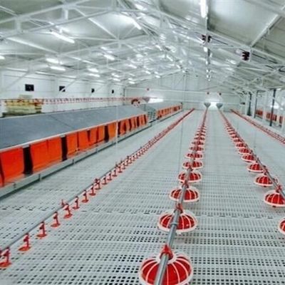 Chicken 20X26mm Goat Farm Plastic Slatted Flooring
