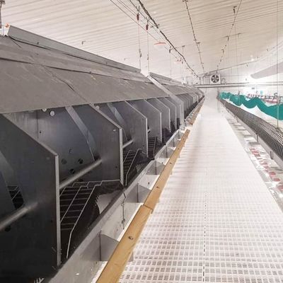 100% Pure PP Broiler 40mm Slatted Floor System In Poultry