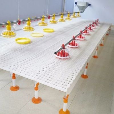 Chicken Farm Plastic Slatted Flooring For Sheep