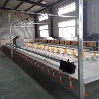 Duck Broiler 100% PP UV Poultry Slat Flooring
