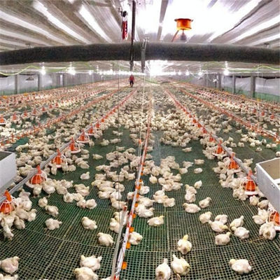 Orange Poultry Water Drinking Nipples For Chicken Broilers Raising