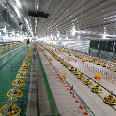 Automatic Chicken Feeder System Broiler Poultry Equipment