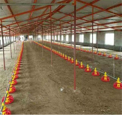 Automatic Chicken Feeder System Broiler Poultry Equipment
