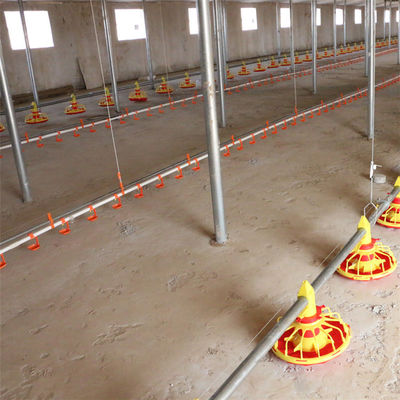 Complete Auto Broiler Poultry Farm System For Chicken Water