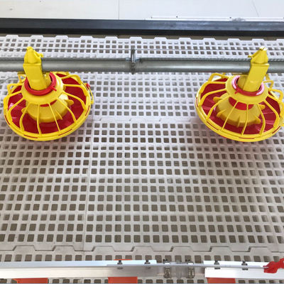 Poultry Farming Chicken Feeder Equipment Long Life