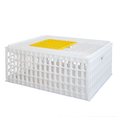 Farming PP Poultry Carrier Crate Chicken Transport