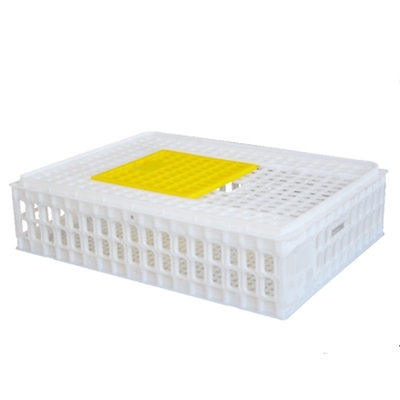 8-10 Chickens Poultry Carrier Crate Pp For Transportation