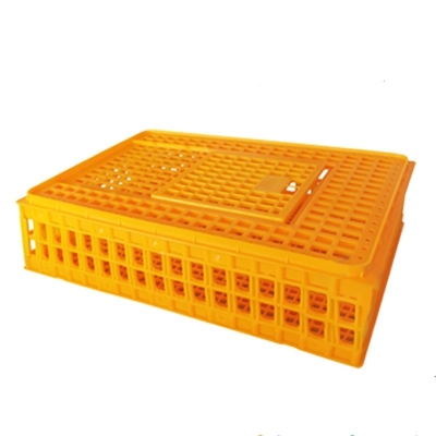 8-10 Chickens Poultry Carrier Crate Pp For Transportation