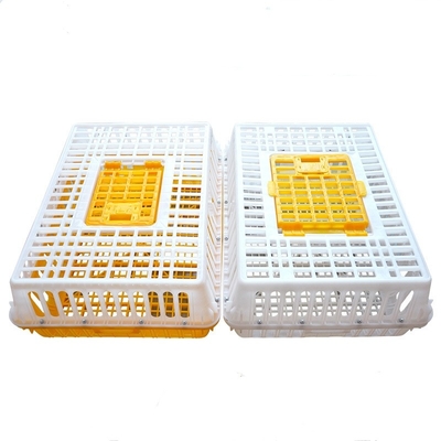 8-10 Chickens Poultry Carrier Crate Pp For Transportation