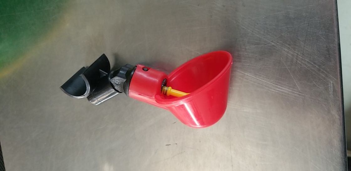 Steel Ball Hanging Cup Automatic Water Drinkers For Birds